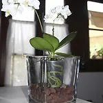 Bed & Breakfast Ca' Di Vissai