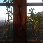 Bed & Breakfast Ca' Di Vissai