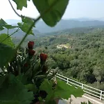 Bed & Breakfast Ca' Di Vissai Arnasco