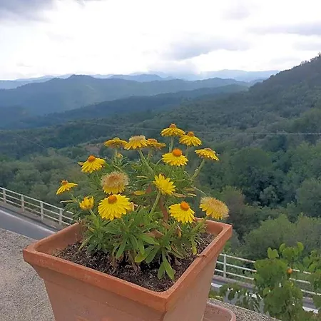 Ca' Di Vissai
