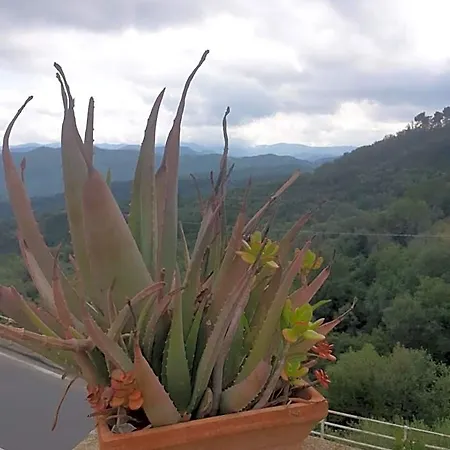 Ca' Di Vissai 3* Arnasco